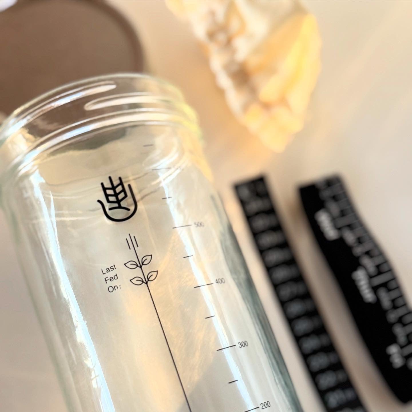 Surdejs starter i et glas